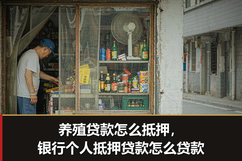 养殖贷款怎么抵押，银行个人抵押贷款怎么贷款