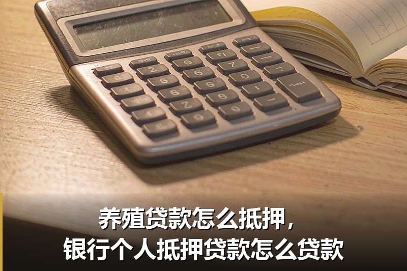 养殖贷款怎么抵押，银行个人抵押贷款怎么贷款