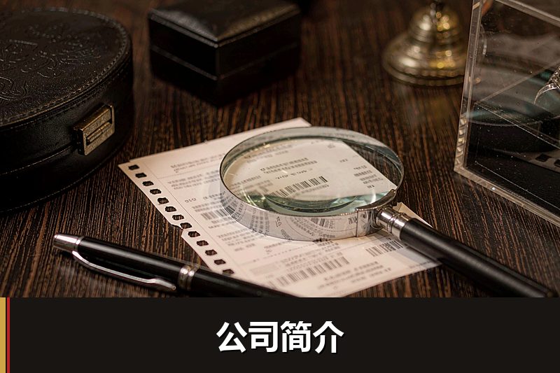 公司简介 公司简介