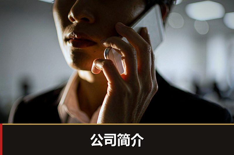 公司简介 公司简介
