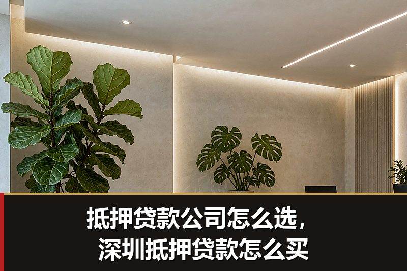 抵押贷款公司怎么选,深圳抵押贷款怎么买 抵押贷款公司怎么选,深圳抵押贷款怎么买