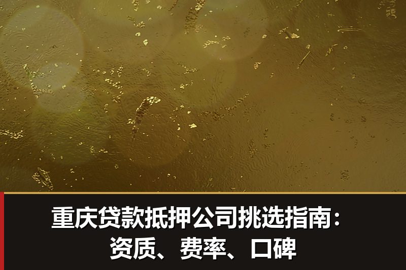 重庆贷款抵押公司挑选指南：资质、费率、口碑